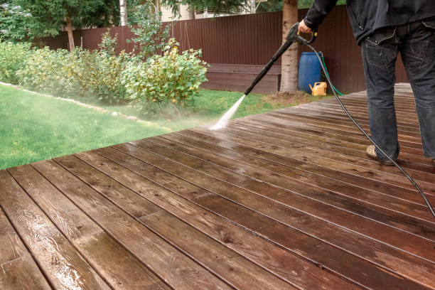 Best Soft Washing  in Brackenridge, PA